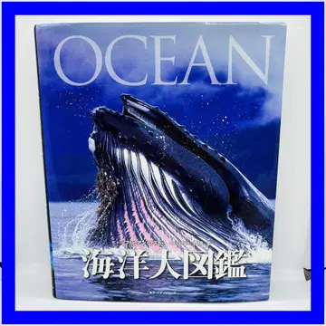 OCEAN 해양 대도감 우치다 이타루 고양이 퍼블리싱