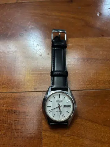 시티즌 어드렉스 4-380304 화이트 다이얼 데이데이트