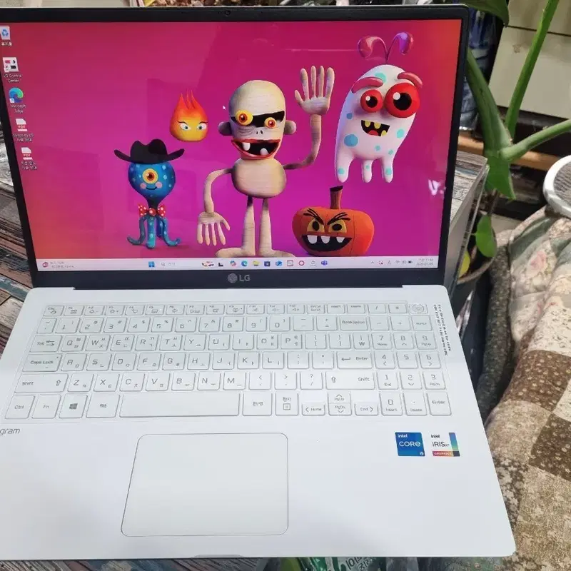 LG 그램 15인치 모델 15Z95N-GRWWL