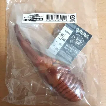 헤라클레스 장수풍뎅이 번데기 생물대도감 장수풍뎅이 10 미개봉 새상품