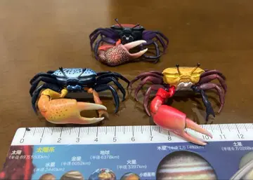 갑각류01 생물대도감 미니 컬렉션