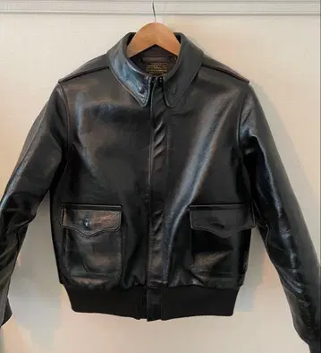 BUZZ RICKSON'S William Gibson A-2 40