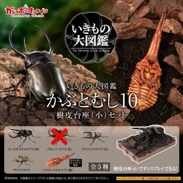 생물대도감 사슴벌레 10 나무껍질 받침대 (소) 세트 1345