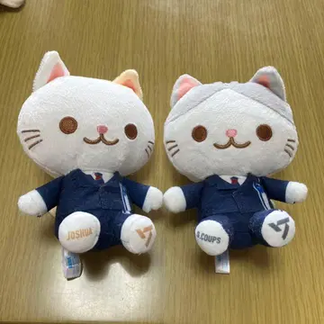 세븐틴 고양이 조슈아 JOSHUA와 에스쿱스 S.COUPS 세트