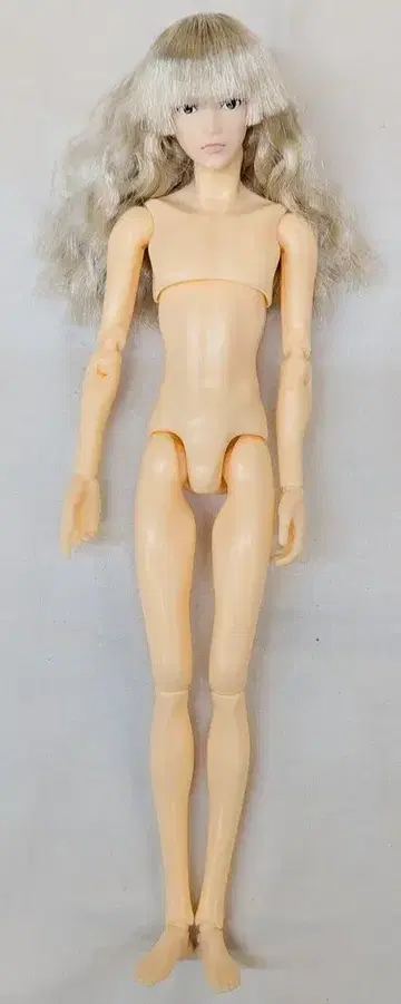 반려동물 웍스 육분의 일 남자 도감 에이트 B25AZ