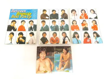 레어 성우 브로마이드 엽서 당시 물건 쇼와 레트로 아니메쥬 부록