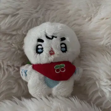 seventeen 승철 봉제 인형