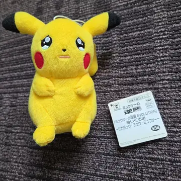 피카츄 봉제 인형 약 15