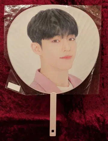 SEVENTEEN 2019JAPAN TOUR HARU S.COUPS 부채