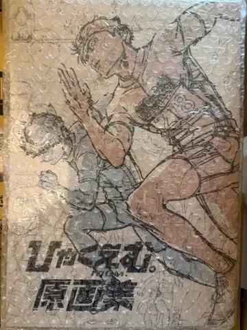 [미개봉 새상품] 백엠 원화집