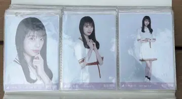 야타 모에카 피케 셔츠 원피스 컴프 사복 노기자카46 리얼 미트앤그리트