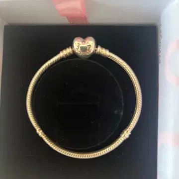 판도라 실버 로프 디자인 팔찌