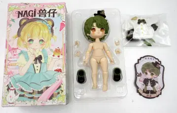 차원계 TOY 나기 환경록 올빼미 그린 부엉이