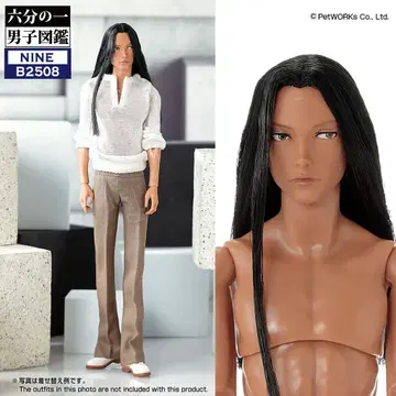 새상품 펫 웍스 육분의 일 남자 도감 나인 B2508