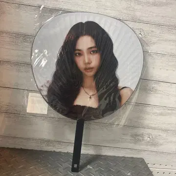 aespa KARINA 부채
