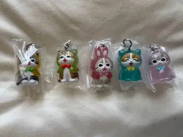 모프 샌드 메지루시 액세서리 컴플리트 세트