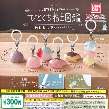 뽀봇토.씨의 한입 점토 도감 메지루시 액세서리 전 6종 컴플리트