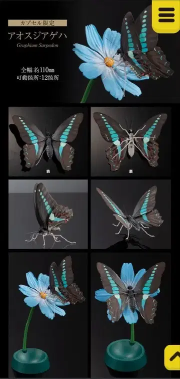 [ 새상품 ] 생물대도감 어드밴스 아오스지나비