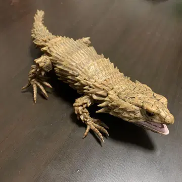 생물대도감 07 아르마딜로 도마뱀 먹칠ver 레어