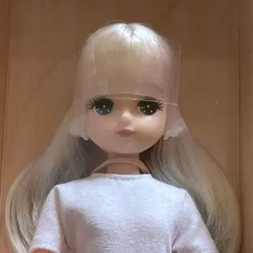 리카짱 캐슬 차분한 모델 키라짱