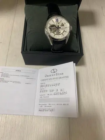 ORIENT STAR JOKER RK-AV0007S