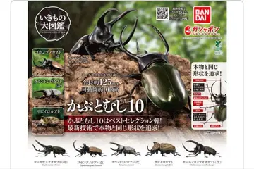 생물대도감 투구벌레 10 전 5종 세트