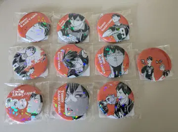 하이큐 올스타 캔뱃지 쓰레기장의 결전 카게야마 토비오