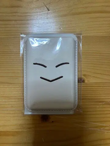 Stray Kids 스키즈 MAGNETIC Card WALLET 아이엔