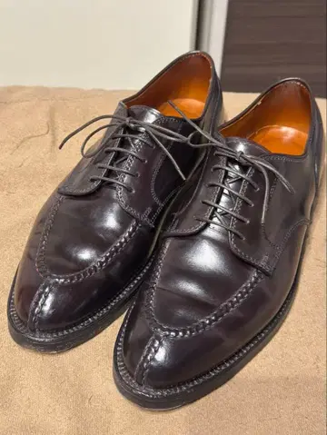 알든 2210 NST 코도반 8.5D