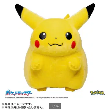 어서 와! 피카츄 1/1 봉제 인형 포켓몬 30주년 기념 상품 타카라토미
