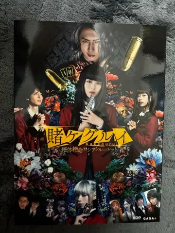 카케구루이 DVD 2장 세트