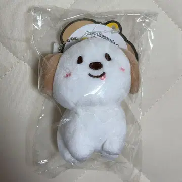 RIIZE 앤톤 봉제 인형 몽룡이