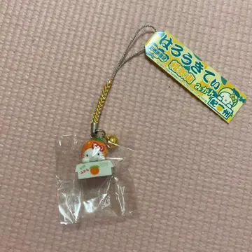 지역 한정 키티 와카야마 귤 기슈지 스트랩 키링