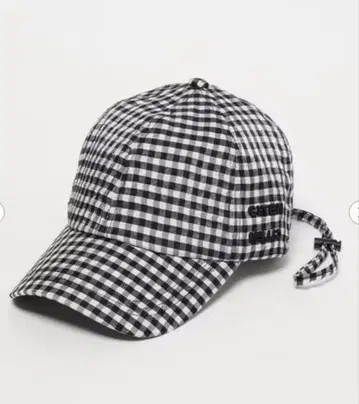 CITEN 캡 깅엄 체크