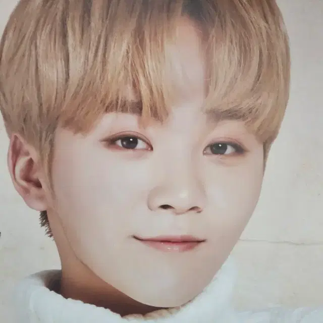 1st 캐럿랜드 포스터 승관