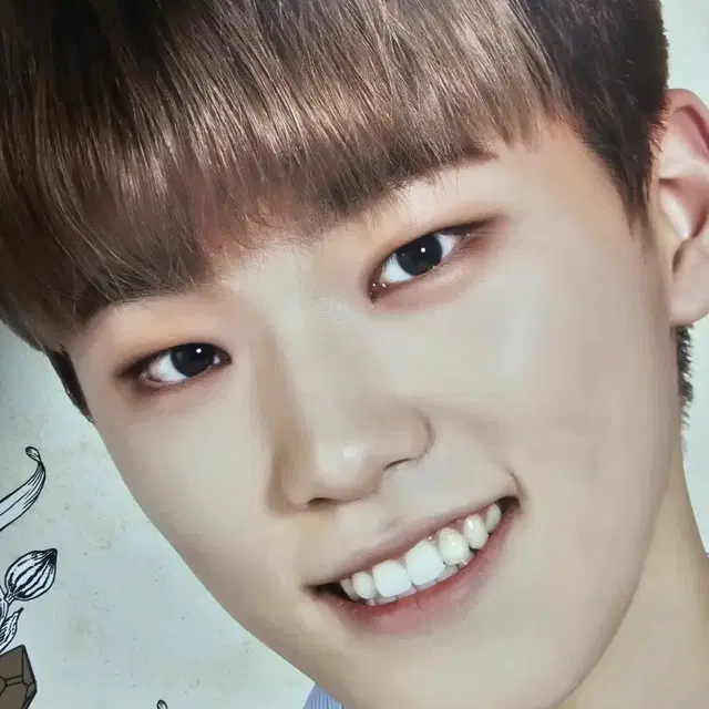 1st 캐럿랜드 포스터 디노 찬