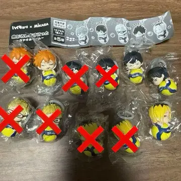 메지루시 스코트 하이큐