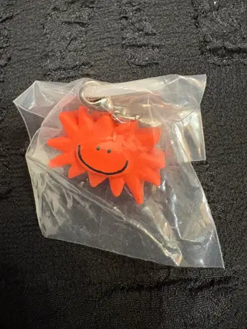 다이스케 콘도 메지루시 액세서리 타이요
