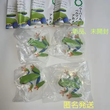 네이처 테크니컬러 붉은눈청개구리 마그넷 4개 세트