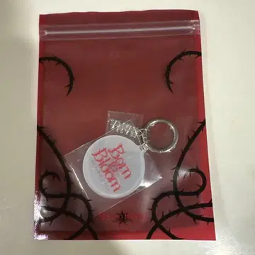 HANA Born to Bloom 1st Tour 2026 키링