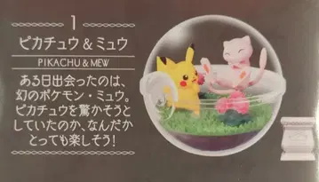 리멘트 테라리움 컬렉션 15 포켓몬스터 피카츄&뮤우 1