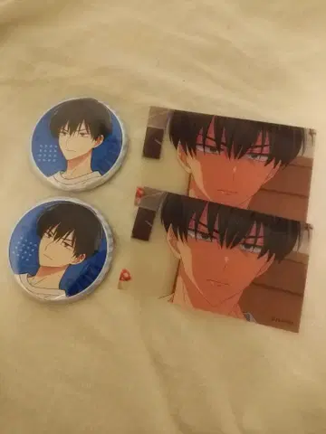 타몬군 지금 어느 쪽!? 온리샵 캔뱃지 클리어 카드 사쿠라 리