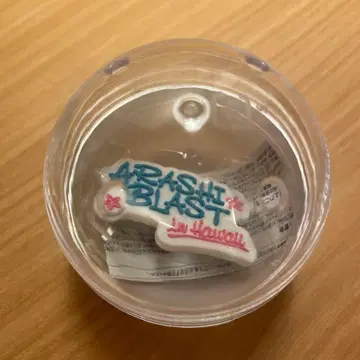 아라시 We are ARASHI 캡슐 가챠 마그넷 미개봉 hawaii