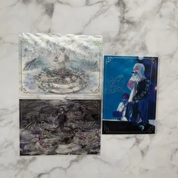 마후마후 도쿄돔 라쿠텐 컬렉션