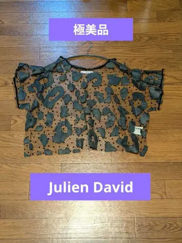 Julien David 줄리앙 데이비드 튤 상의 레이스 일본제