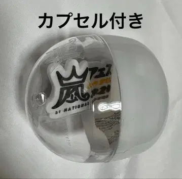 아라시 We are ARASHI 캡슐 로고 마그넷 아라페스2020