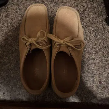 Clarks 왈라비