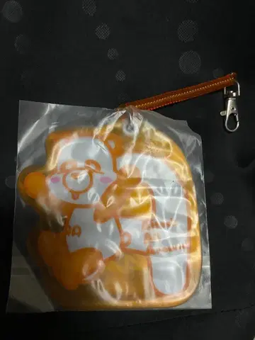 AAA 에-판다 니시지마 타카히로 오렌지 아크릴 카드 케이스