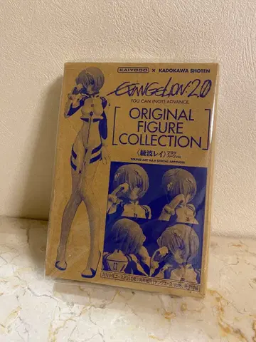 2010년 1월호 증간 영 에이스 Vol.6 특별 부록 아야나미 레이