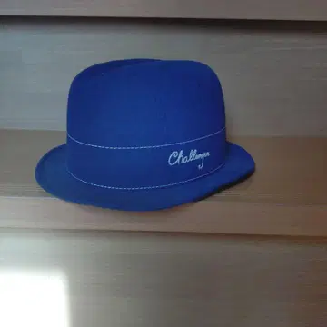 challenger 펠트 햇